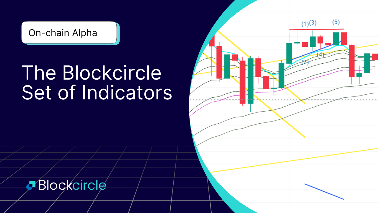 Blockcircle Whale Finder – User Guide